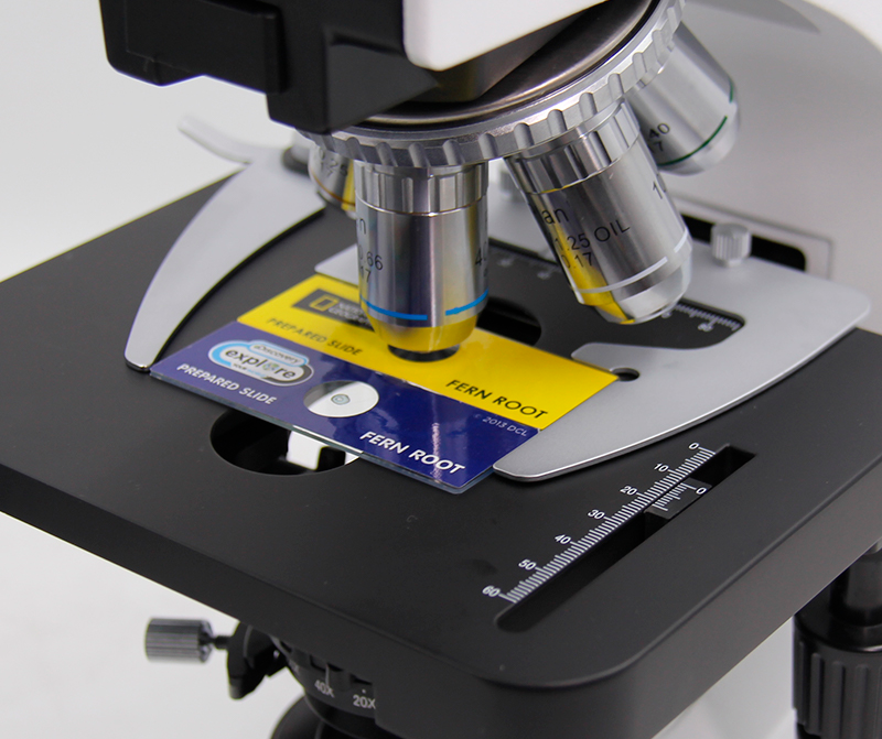 Microscopes types of condensers Kalstein