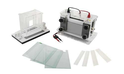 Vertical Electrophoresis Tank YR03432
